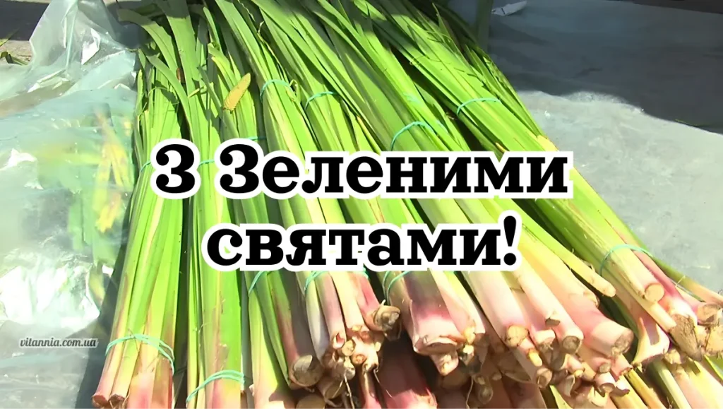 Вітання з Зеленими святами 2025
