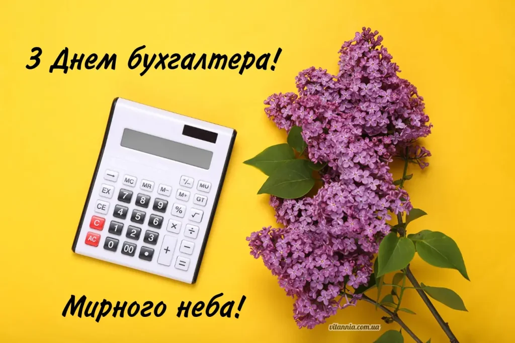 Листівка з Днем бухгалтера 2025, мирного неба